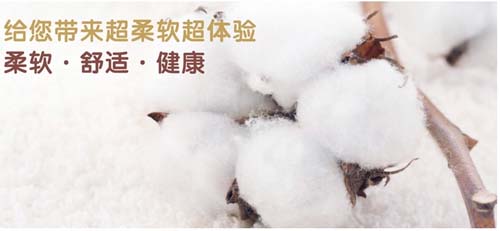聰麗產(chǎn)婦高級純棉內褲