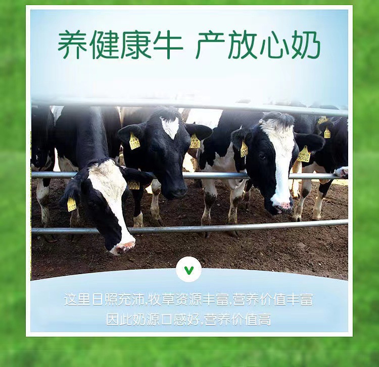 臻迪高正品兒童成長(zhǎng)配方奶粉800g罐3歲起寶寶營(yíng)養(yǎng)牛奶粉1.jpg