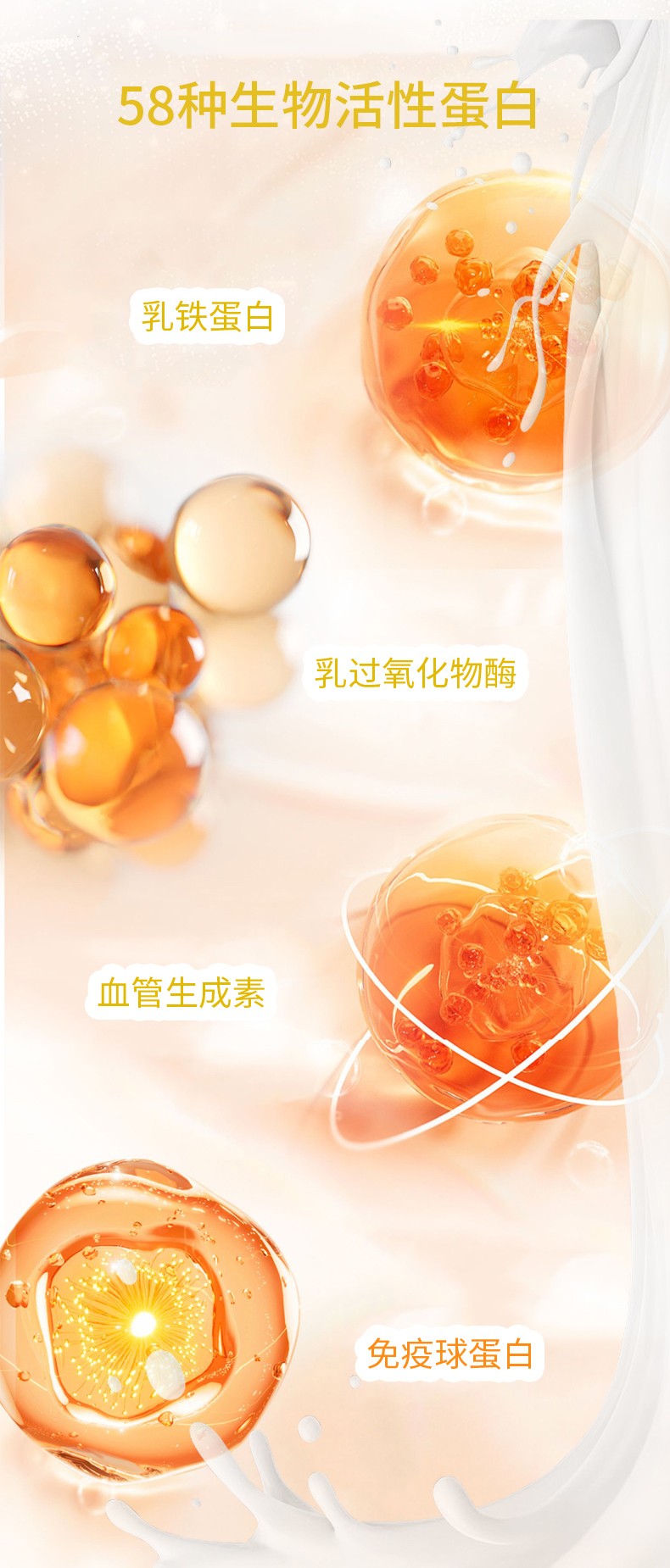 乳鐵蛋白_03.jpg