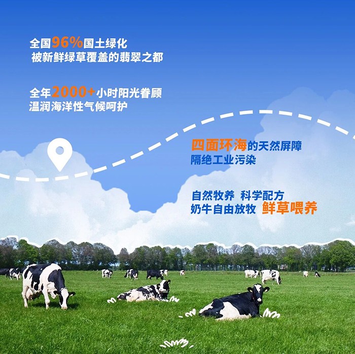 貝佳知多星小巨人兒童成長(zhǎng)奶粉_03.jpg